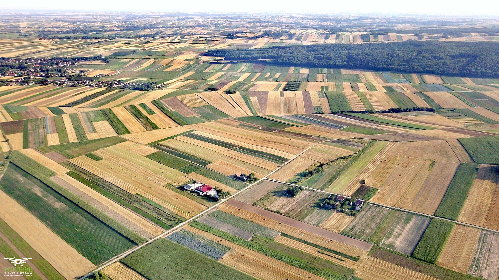 AGROPOLE өндірістік зауыты – кептірілген көкөністер, шөптер, дәмдеуіштер
